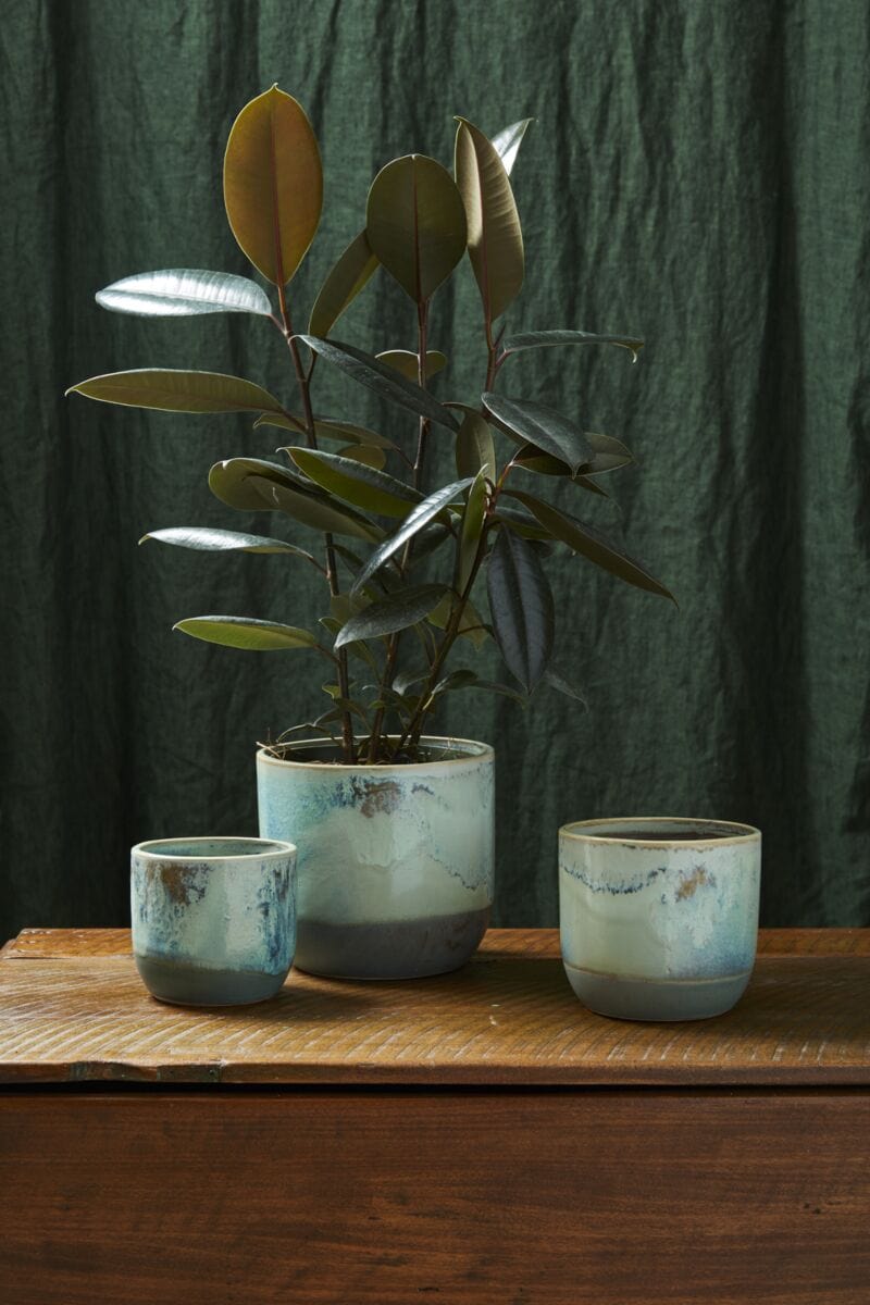 Accent Decor Plants Caribe Pot - 4.5" x 4"