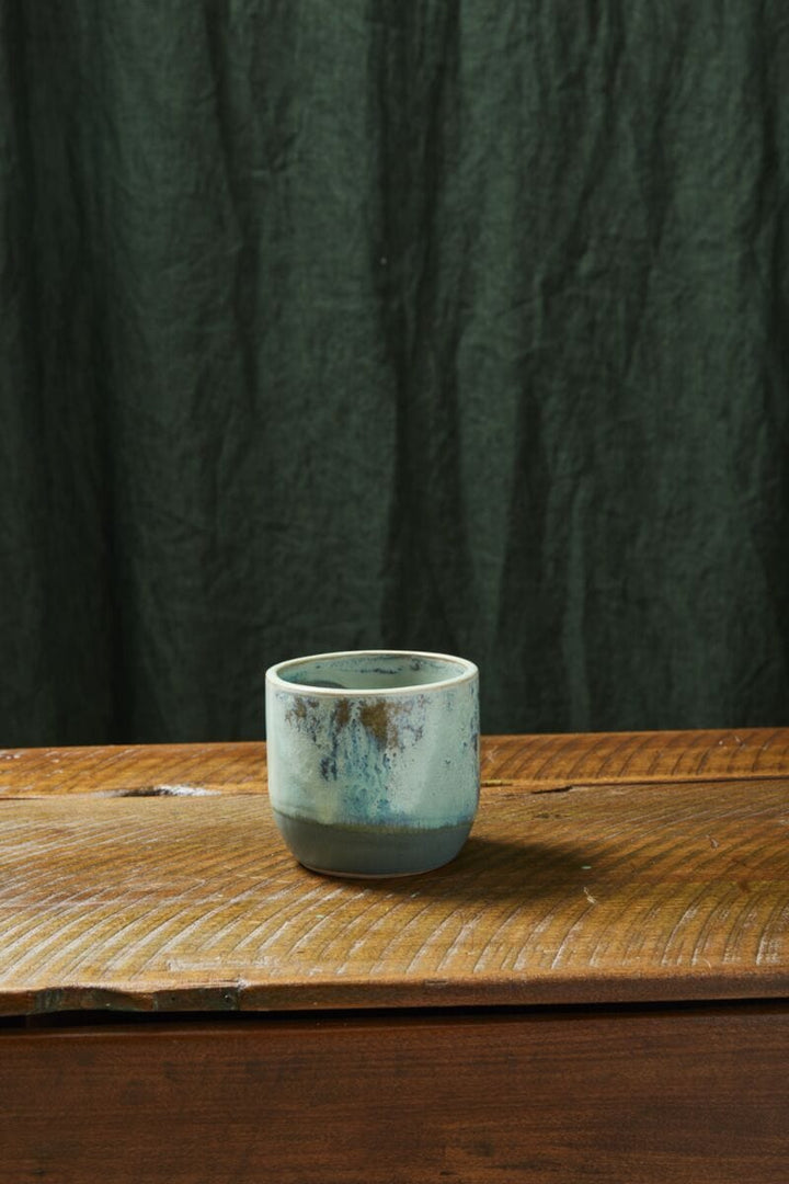 Accent Decor Plants Caribe Pot - 4.5" x 4"