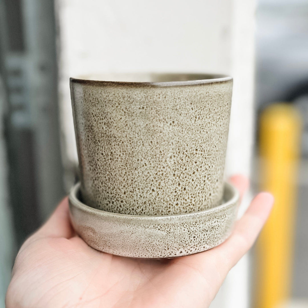 Accent Decor Plants Watson Pot Off-White