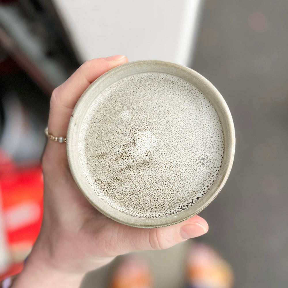 Accent Decor Plants Watson Pot Off-White