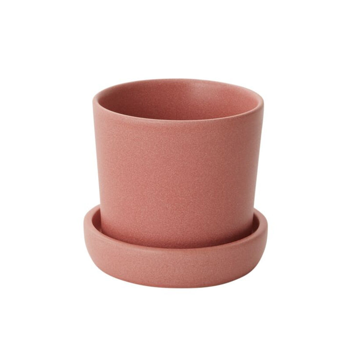 Accent Decor Plants Watson Pot Pink