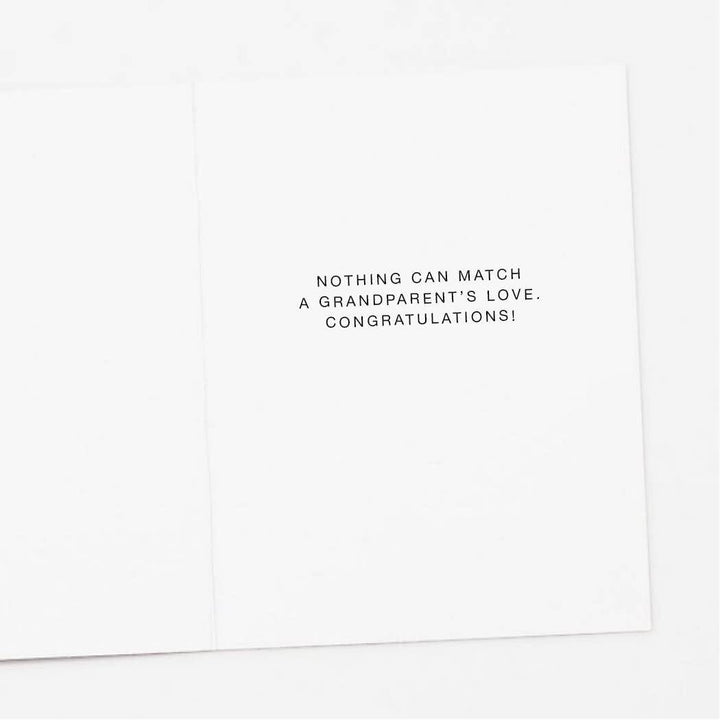 Apartment 2 Cards Card Teddy Bear New Grandparent Card