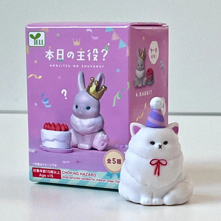 BC USA Gifts Birthday Blind Box