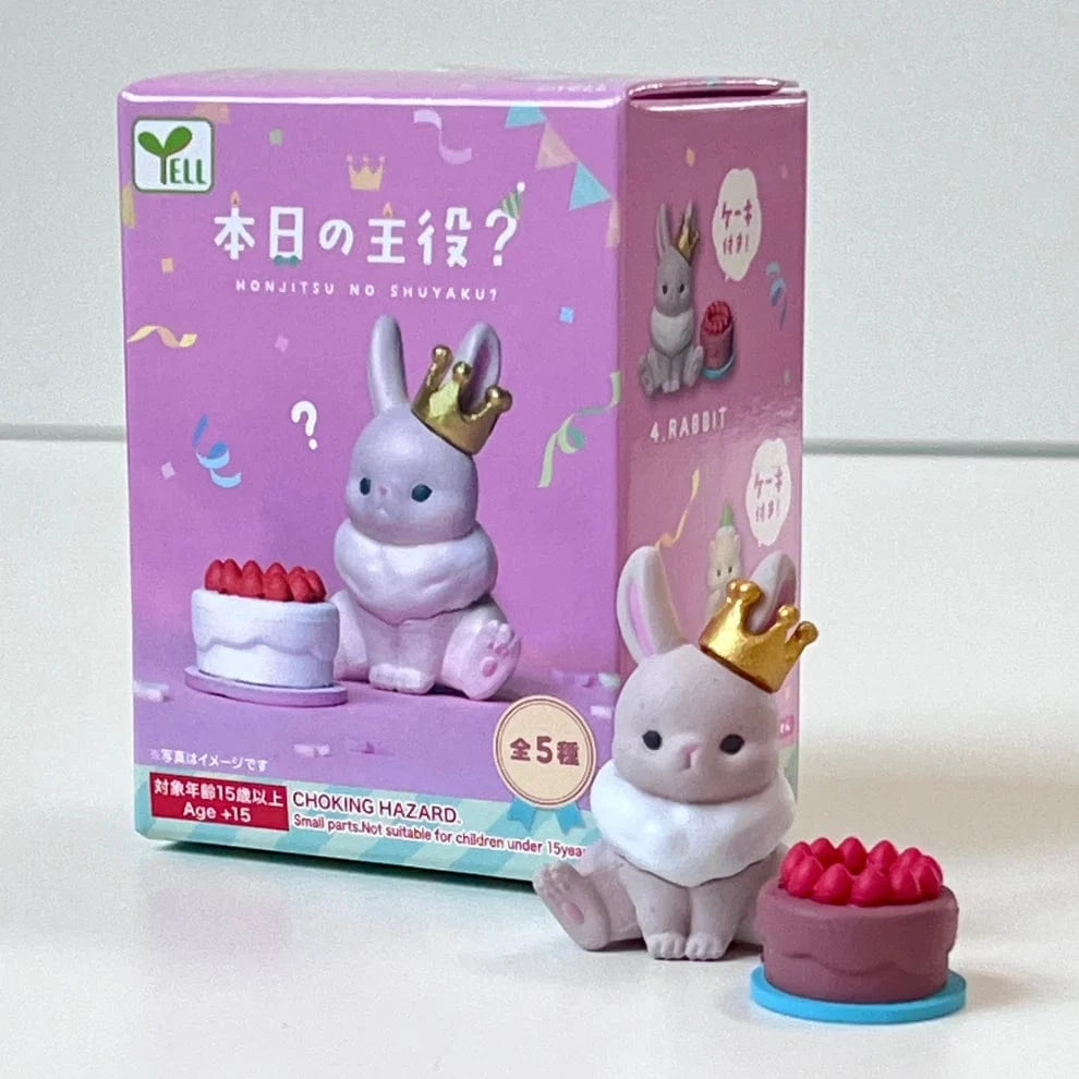 BC USA Gifts Birthday Blind Box