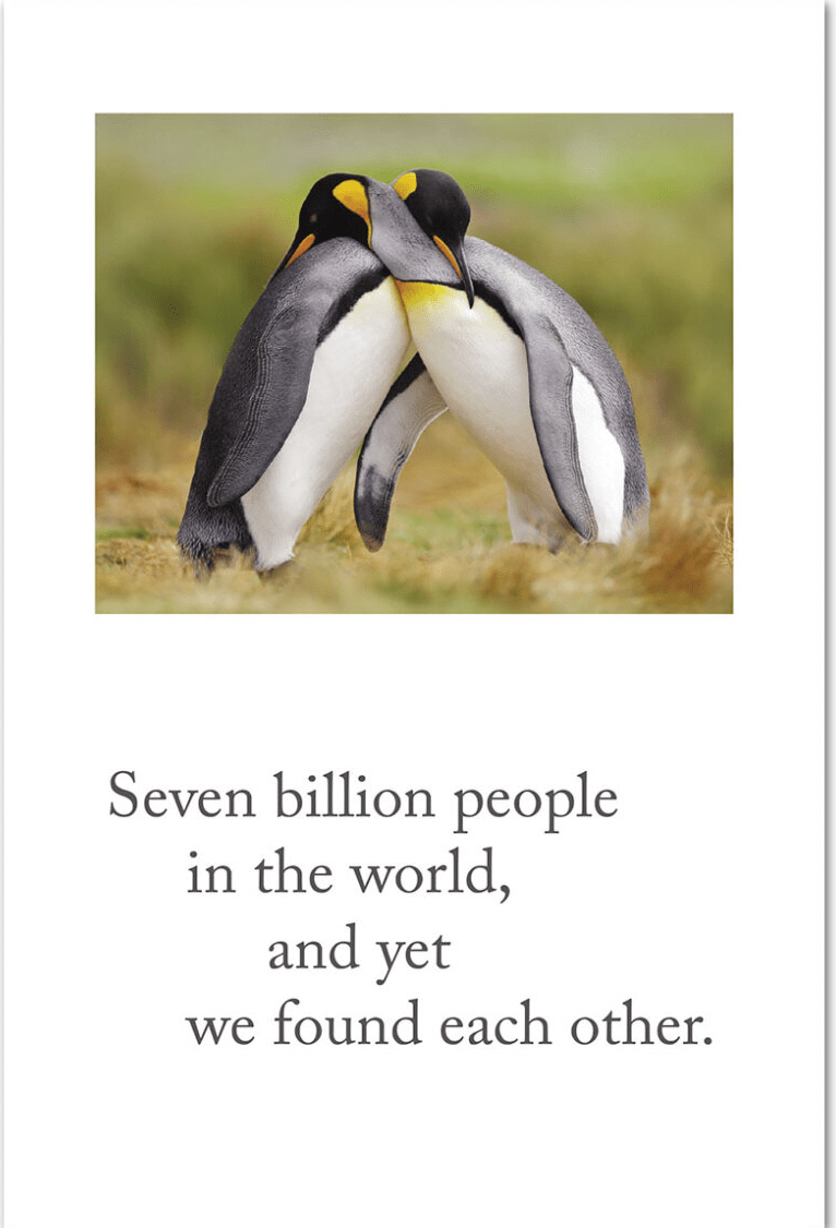 Cardthartic Card Penguin Couple Anniversary Card