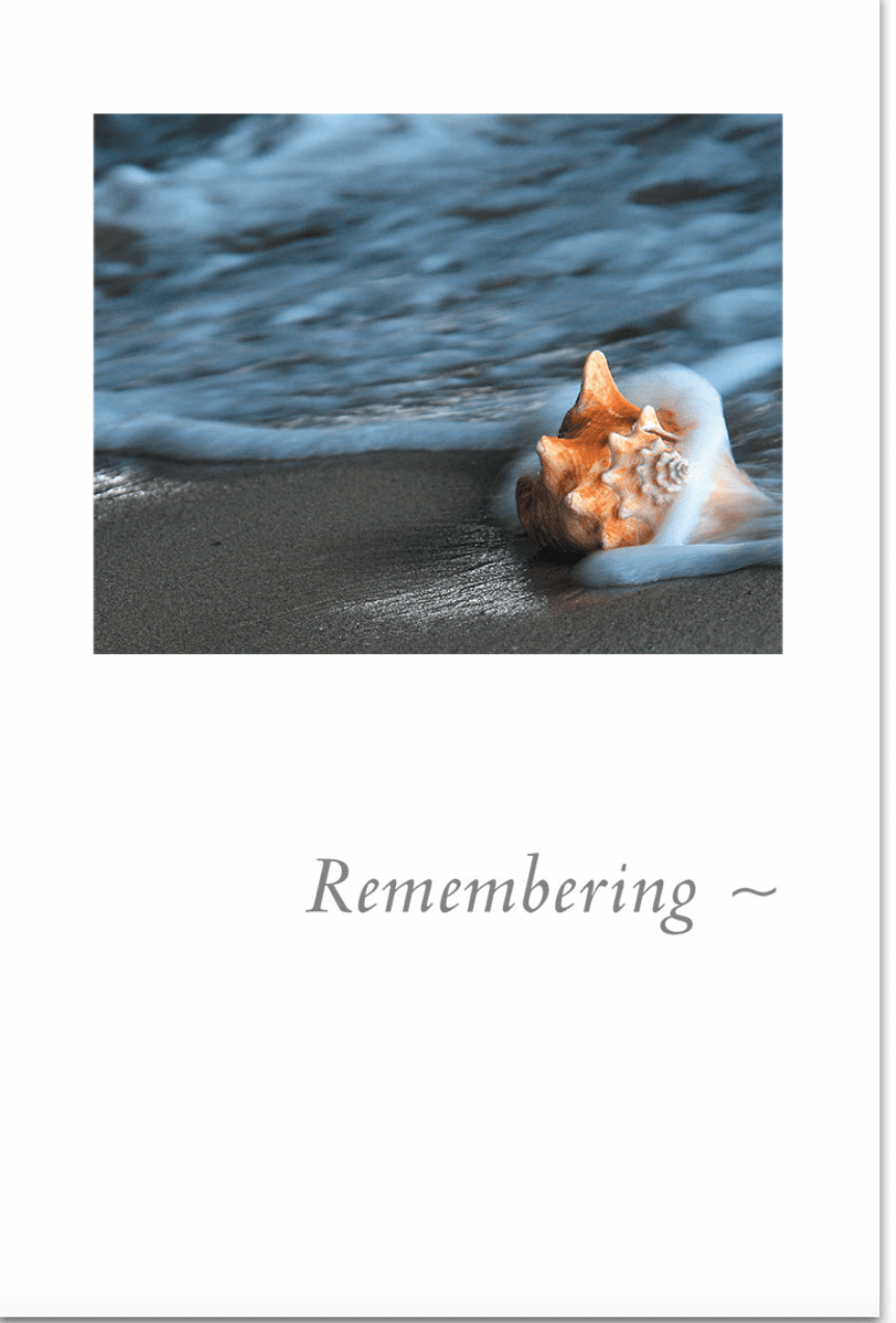Cardthartic Card Seashell on Shore Condolence Card