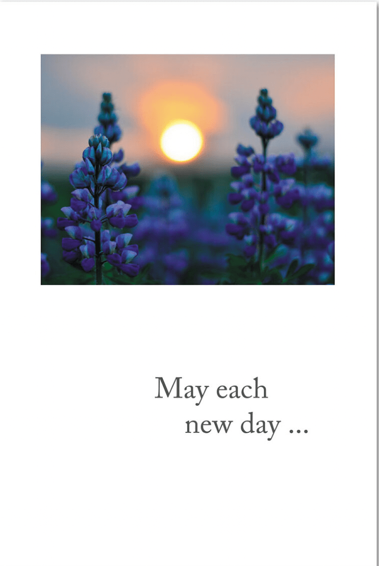 Cardthartic Card Sunset Between Bluebonnets Card