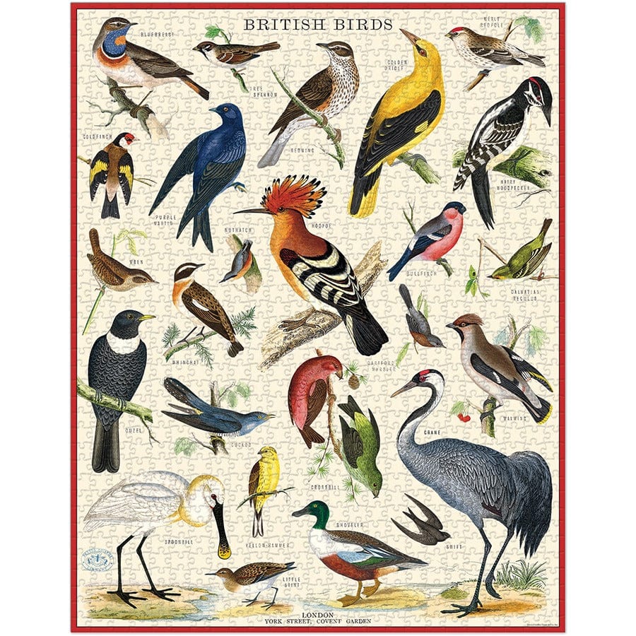 Cavallini & Co. Puzzle Cavallini & Co Vintage British Birds 1,000 Piece Puzzle