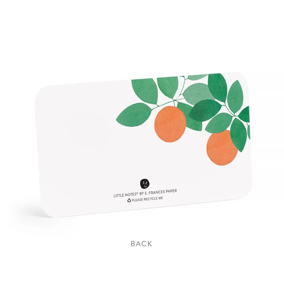 E. Frances Paper Paper Orange Grove Little Notes