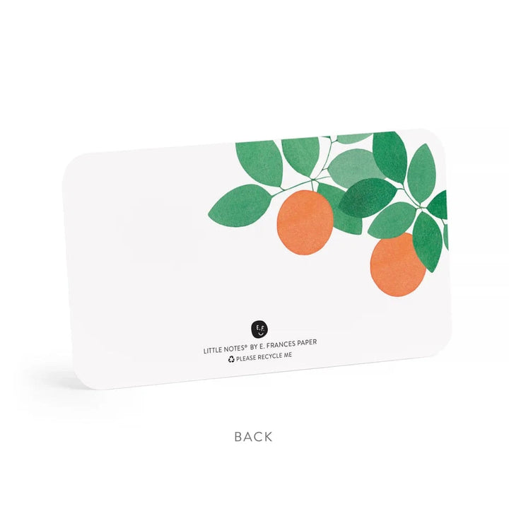 E. Frances Paper Paper Orange Grove Little Notes