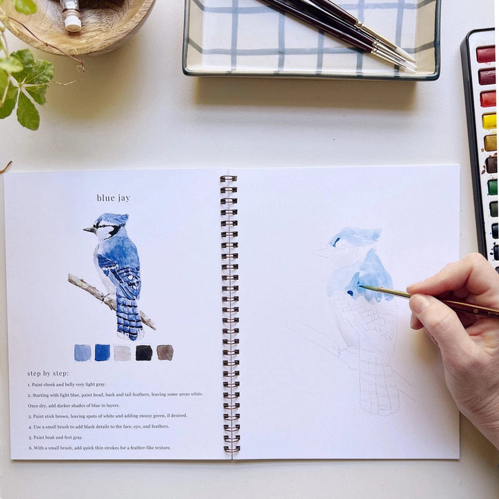 Emily Lex Art Supplies Watercolor Workbook: Birds