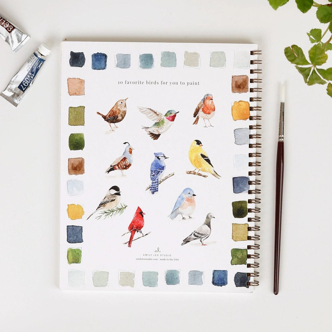 Emily Lex Art Supplies Watercolor Workbook: Birds