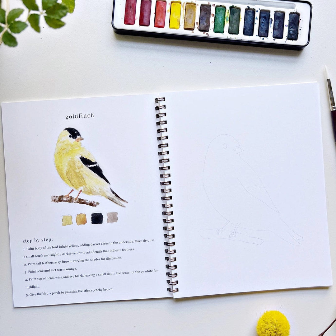 Emily Lex Art Supplies Watercolor Workbook: Birds