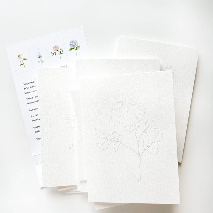 Emily Lex Boxed Card Set Garden Flowers Paintable Notecards