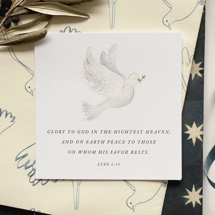 emily lex studio Boxed Card Set Christmas gift truth for today cards