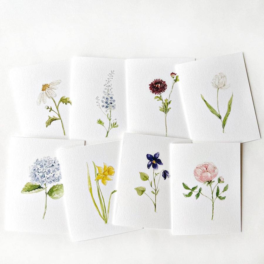 emily lex studio Boxed Cards assorted garden flowers notecard set