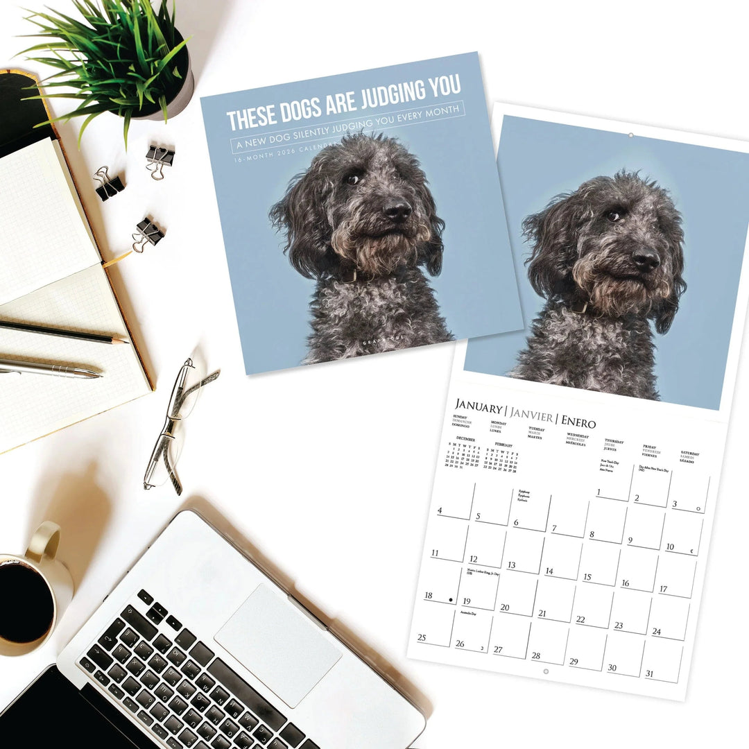 Graphique de France Calendar Judgmental Dogs 12 x 12 Wall Calendar
