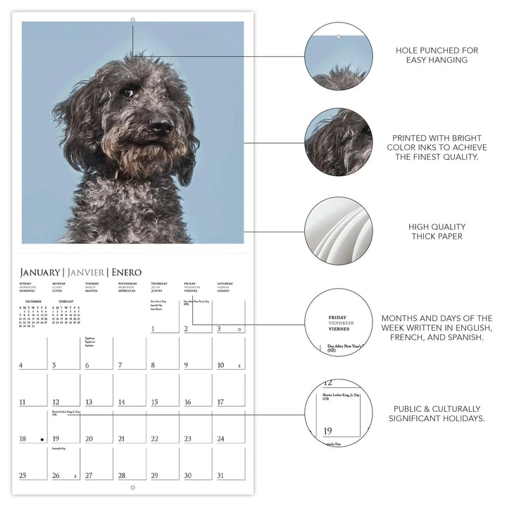 Graphique de France Calendar Judgmental Dogs 12 x 12 Wall Calendar