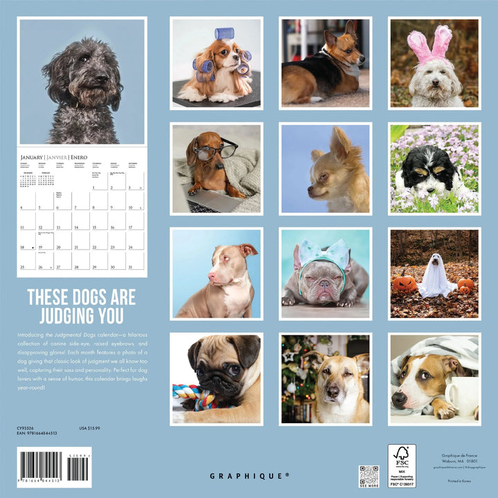 Graphique de France Calendar Judgmental Dogs 12 x 12 Wall Calendar
