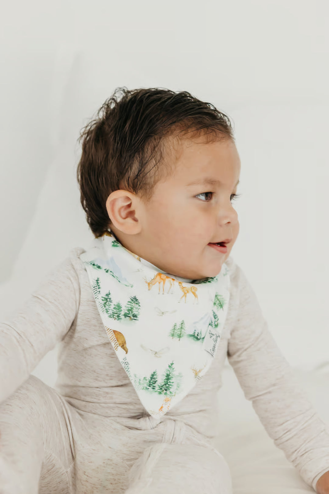 Grayson Bandana Bib Set (4-Pack)