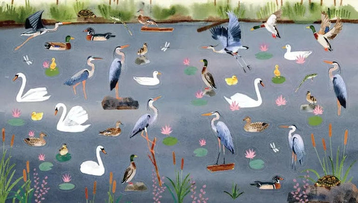 Hachette Sticker Book A Bird Lover's Sticker Book