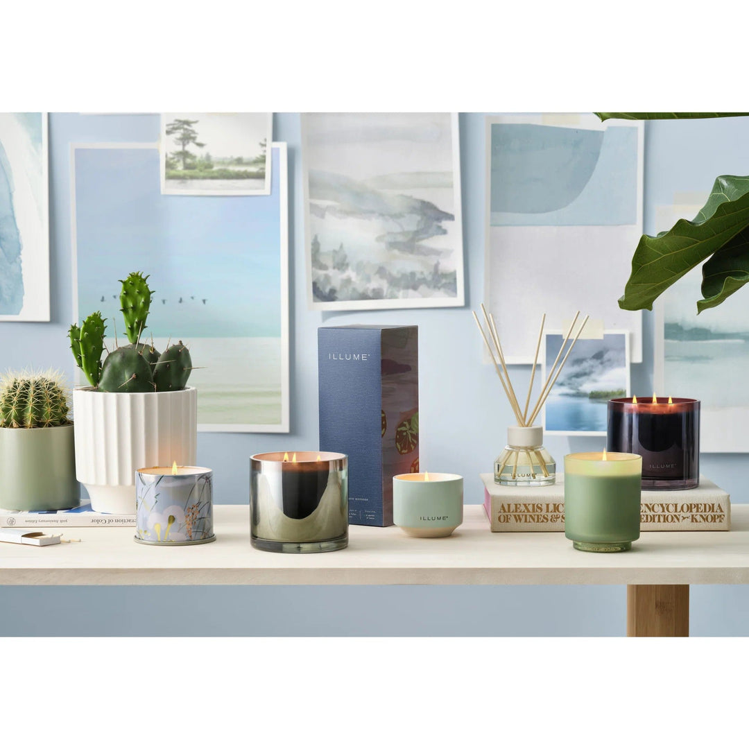 Illume Candle Fresh Sea Salt Matte Ceramic Candle