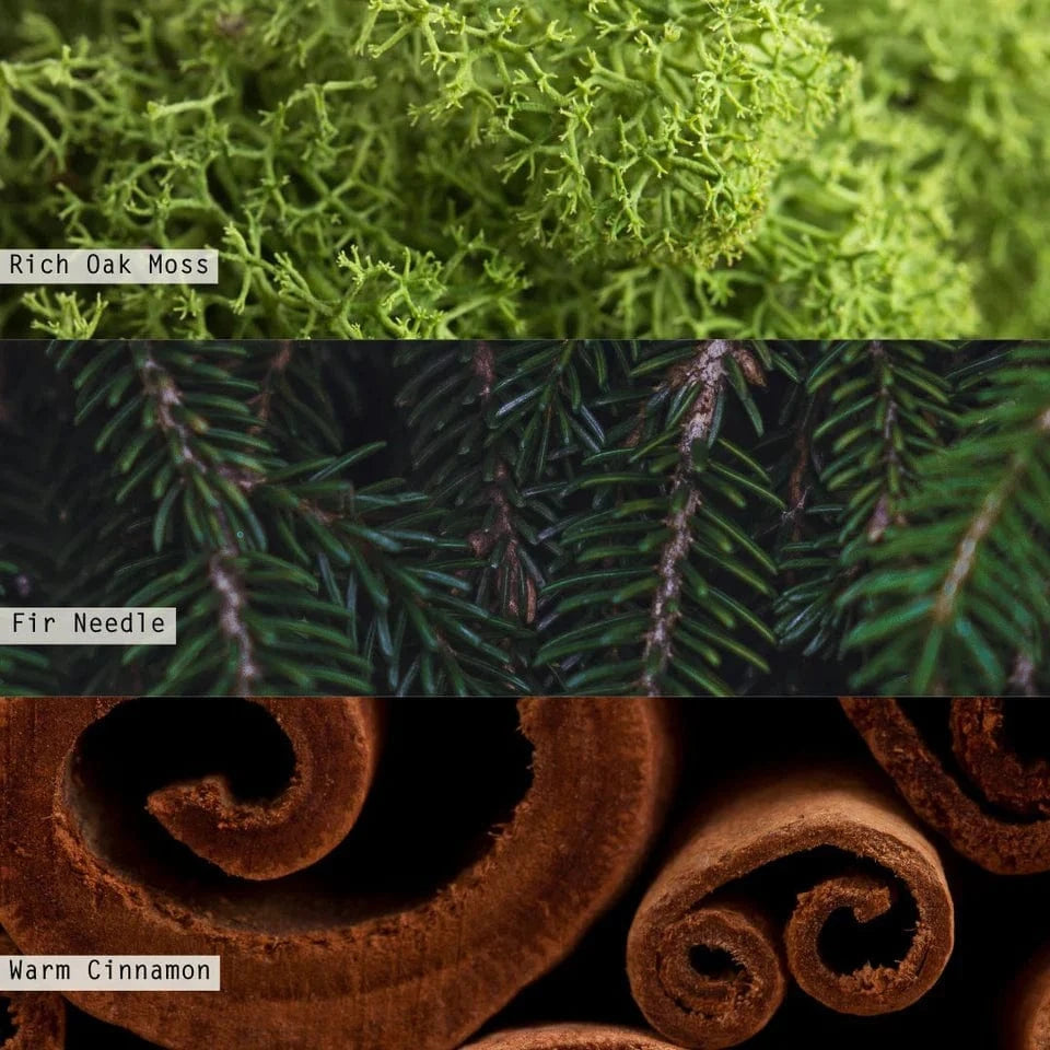 Illume Holiday Balsam & Cedar Diffuser