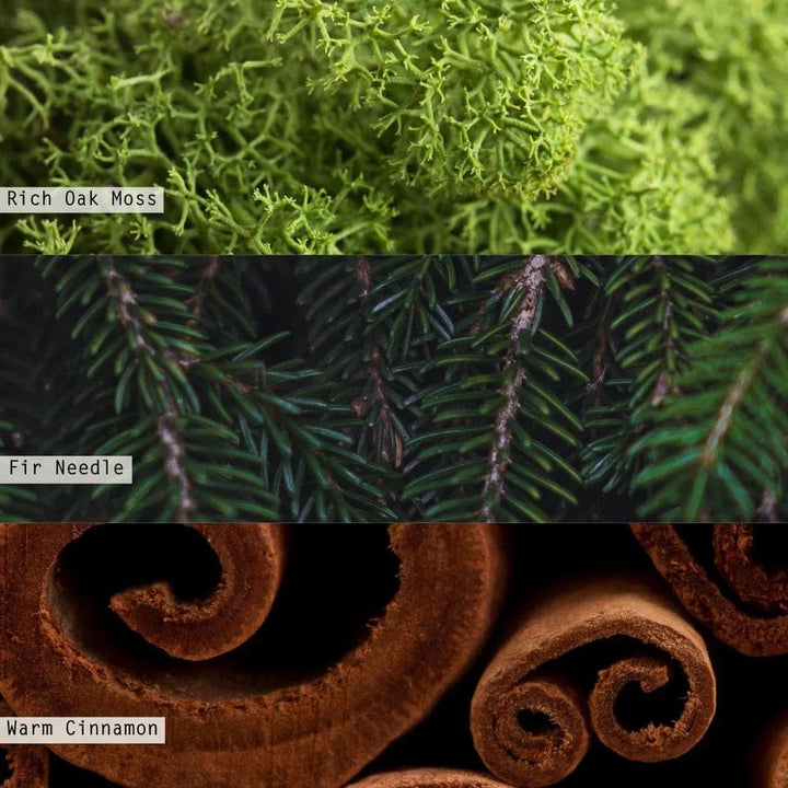 Illume Holiday Balsam & Cedar Diffuser