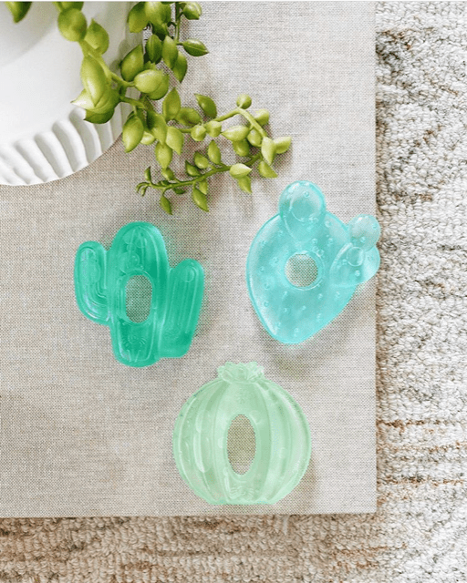 Itzy Ritzy Teether Cutie Coolers™ Cactus Water Filled Teethers (3-pack)