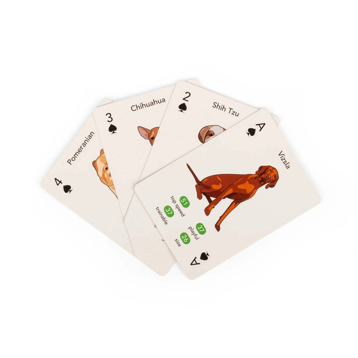 Kikkerland Gifts Paws & Play Playing Cards
