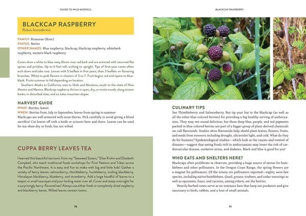 Mountaineers Books Books Pacific Harvest A Northwest Coast Foraging Guide