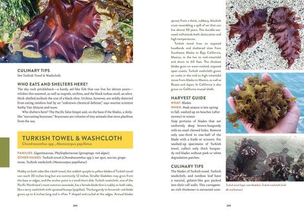 Mountaineers Books Books Pacific Harvest A Northwest Coast Foraging Guide