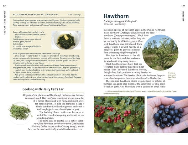 Mountaineers Books Gifts Edible Plants of the Pacific Northwest