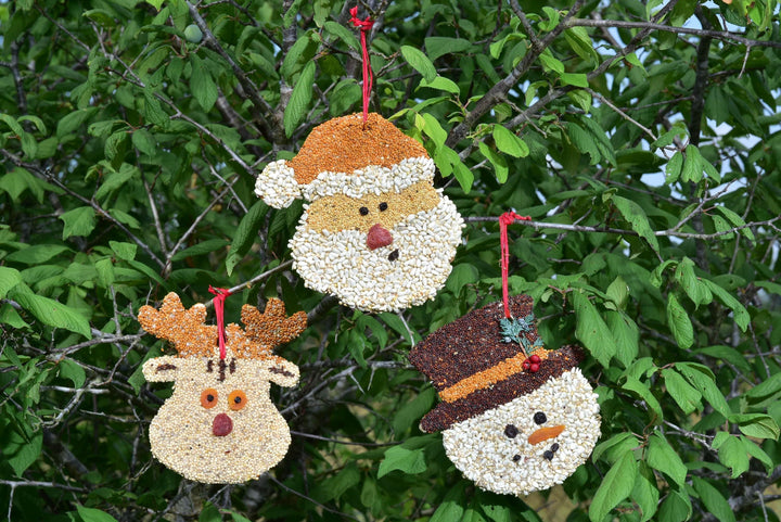 Mr. Bird Gifts Christmas Cookie Bird Seed Ornaments