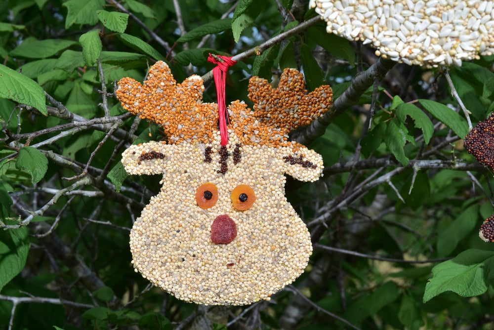 Mr. Bird Gifts Reindeer Christmas Cookie Bird Seed Ornaments