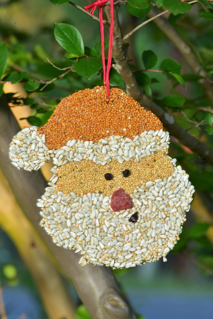 Mr. Bird Gifts Santa Christmas Cookie Bird Seed Ornaments