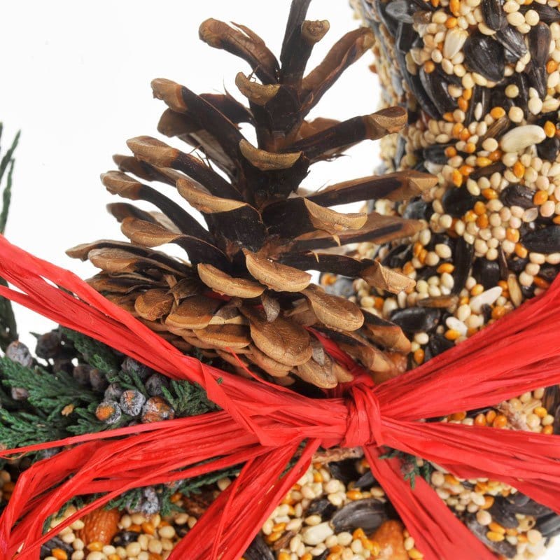 Mr. Bird Gifts WildFeast Bird Seed Wreath