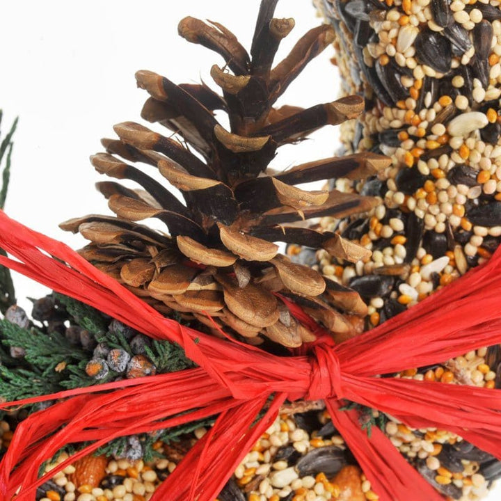 Mr. Bird Gifts WildFeast Bird Seed Wreath