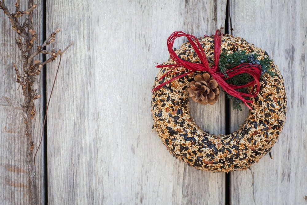 Mr. Bird Gifts WildFeast Bird Seed Wreath