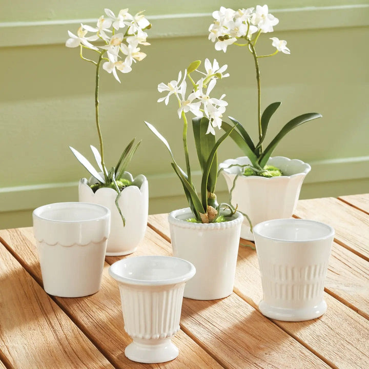 Napa Home & Garden Pots & Planters Mirabelle Mini Cachepots