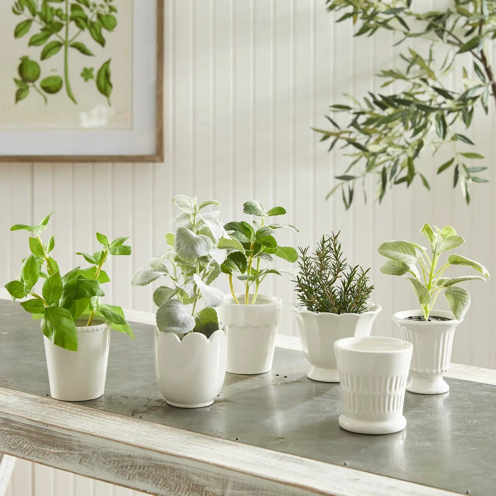 Napa Home & Garden Pots & Planters Mirabelle Mini Cachepots