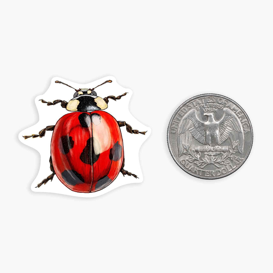Nice Enough Cards Ladybug Mini Sticker