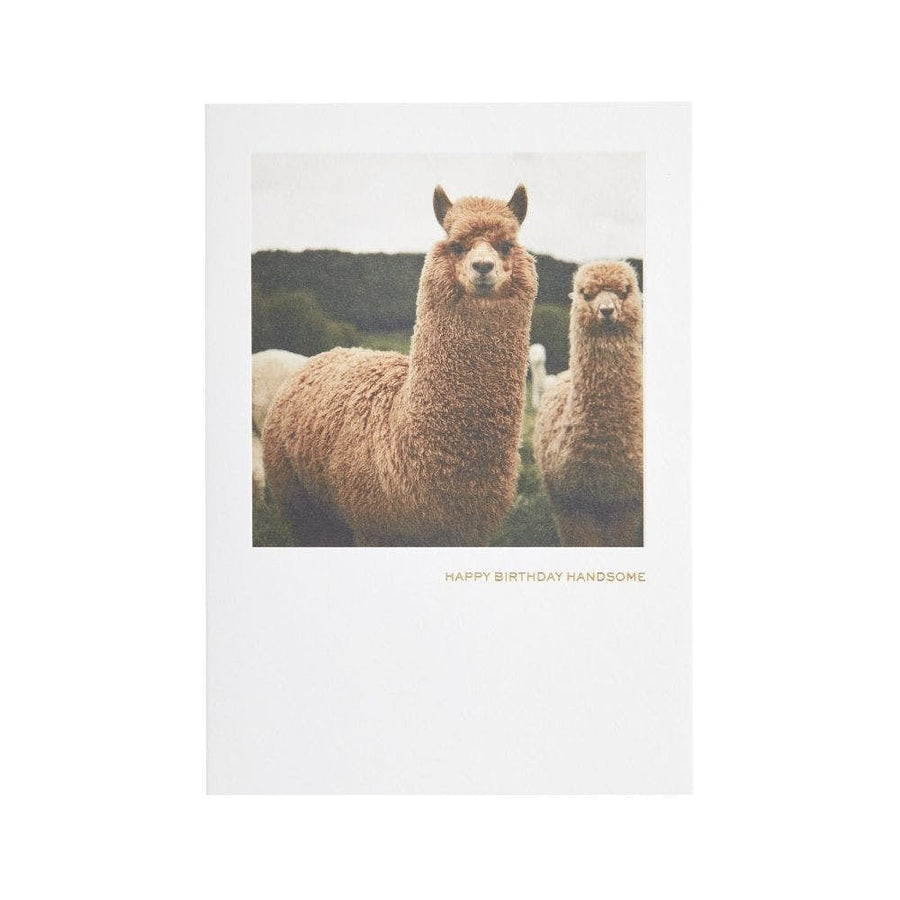 Niquea.D Card Llamas Birthday Card