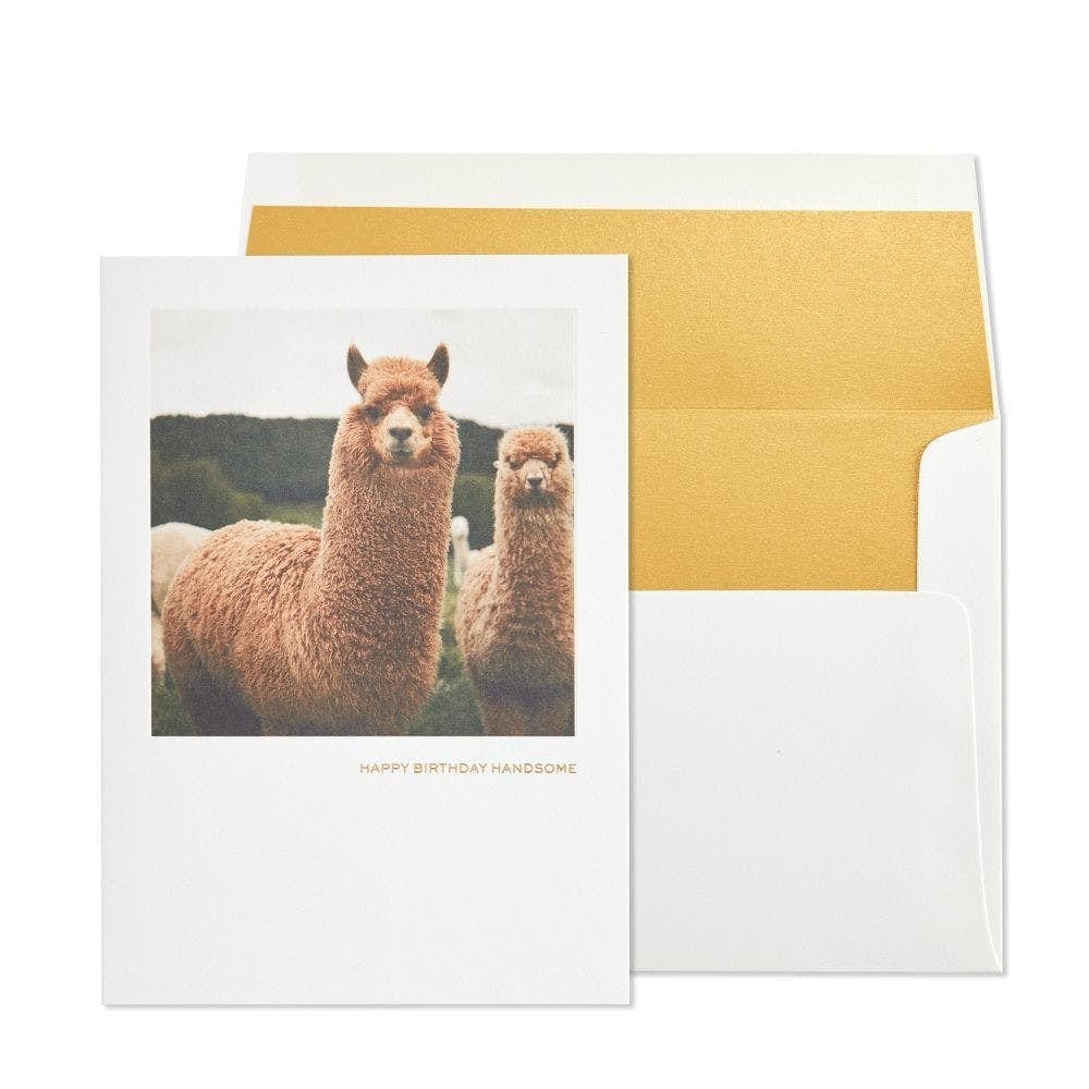 Niquea.D Card Llamas Birthday Card
