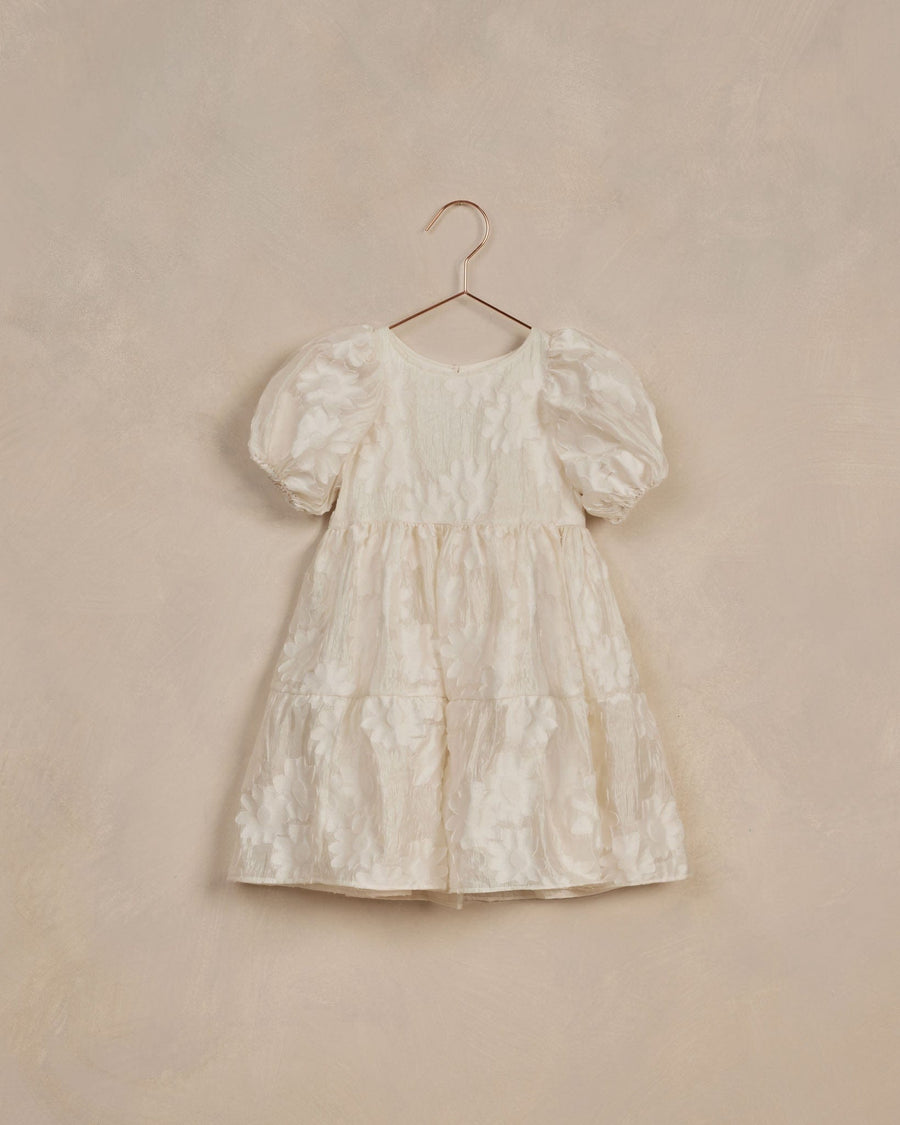 Noralee Baby & Toddler Dresses 2T Chloe Dress - Daisy Organza