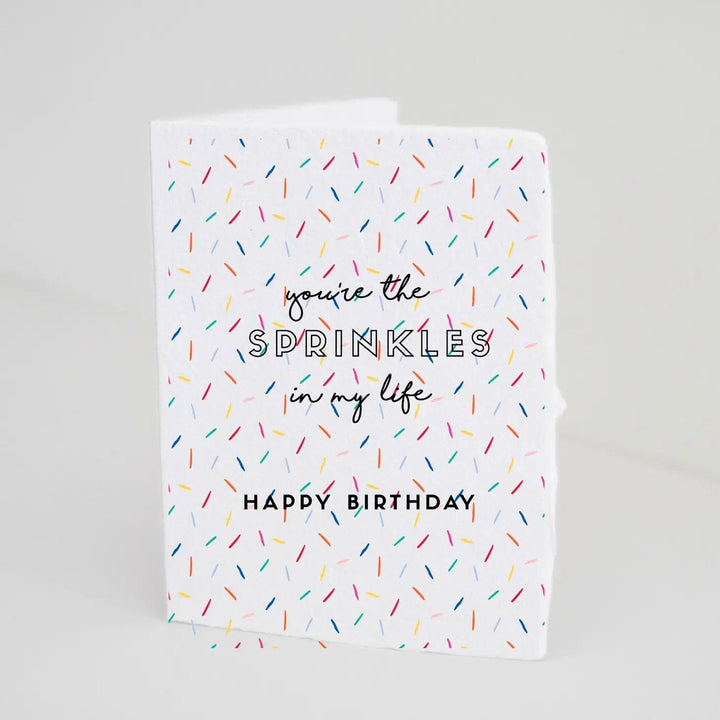 Paper Baristas Card You're The Sprinkles Birthday A2 Greeting Card