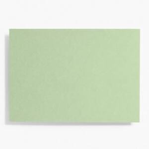 Paper Luxe Paper Goods Eucalyptus A6 Flat Notes - Set of 10