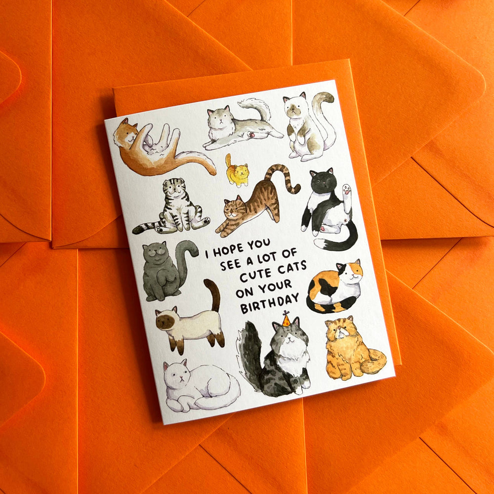 Paper Wilderness Card Hope You See A Lot Of Cute Cats Birthday Card