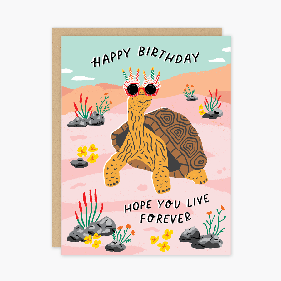 Party of One Card Birthday Tortoise