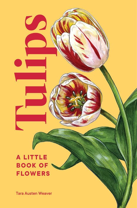 Penguin Random House Book Tulips A Little Book Of Flowers